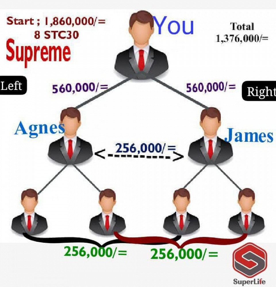 Using the Supreme package example, if you join with the capital of shs 1,860,000, they will give you 8 boxes of stc30 and an account which has 2 sides (left and right). You will earn shs.560,000 after you have signed up a first person on left to partner with you, you will also earn shs.560,000 on the last one on right. It is called direct referral bonus So, here, when they also do what you do, you will earn shs. 256,000 on every pair in their systems. This goes downwards forever. It is called Pairing bonus.πππππππ